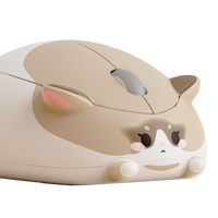 Akko Cat Mouse (Ragdoll)