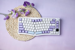 Ajazz AKS075 (Gift Switch - Purple White Blue)