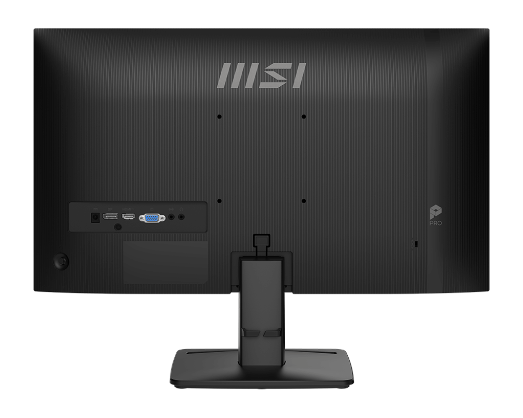 MSI Pro MP251 E2 (24.5 inch 120Hz 1080P IPS)