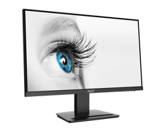 MSI Pro MP243X (23.8 Inch 100Hz 1080P IPS)