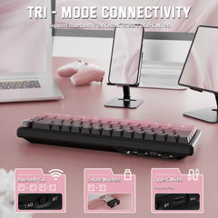 Attack Shark X66 (Blackberry)