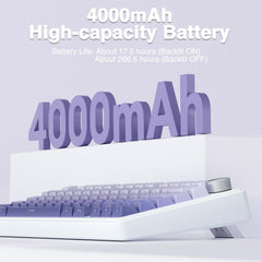 Aula F75 (Gradient Purple - Star Vector Switch)