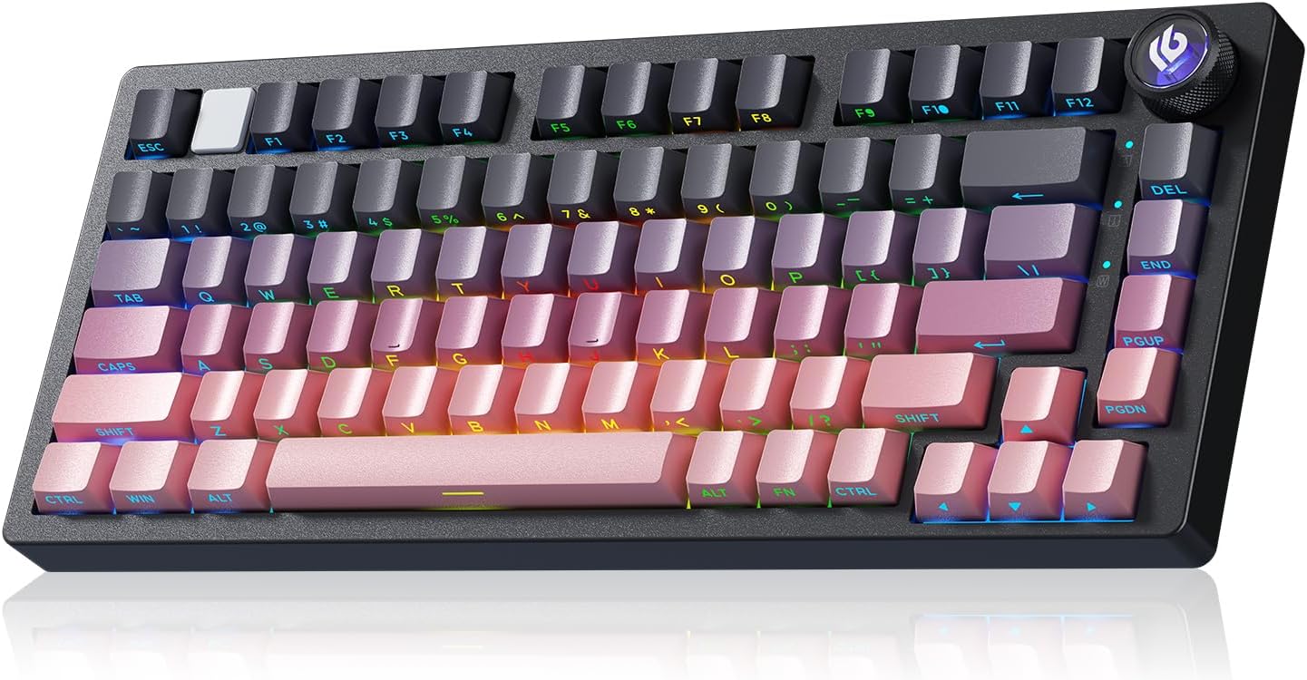Leobog Hi75C Pro (Blackberry - Star Vector Switch)