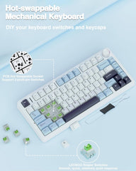 Aula F75 (White Blue - Reaper Switch)