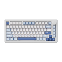 Akko 5075 V3 Wireless (Glacier - Botany Switch)