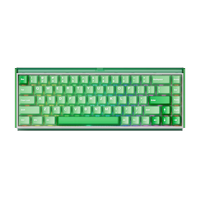 Akko Ray68 HE Wireless (Misty Green - AstroAim Switch)