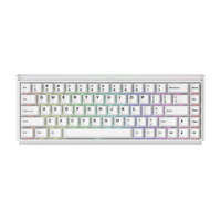Akko Ray68 HE Wireless (Misty White - AstroAim Switch)