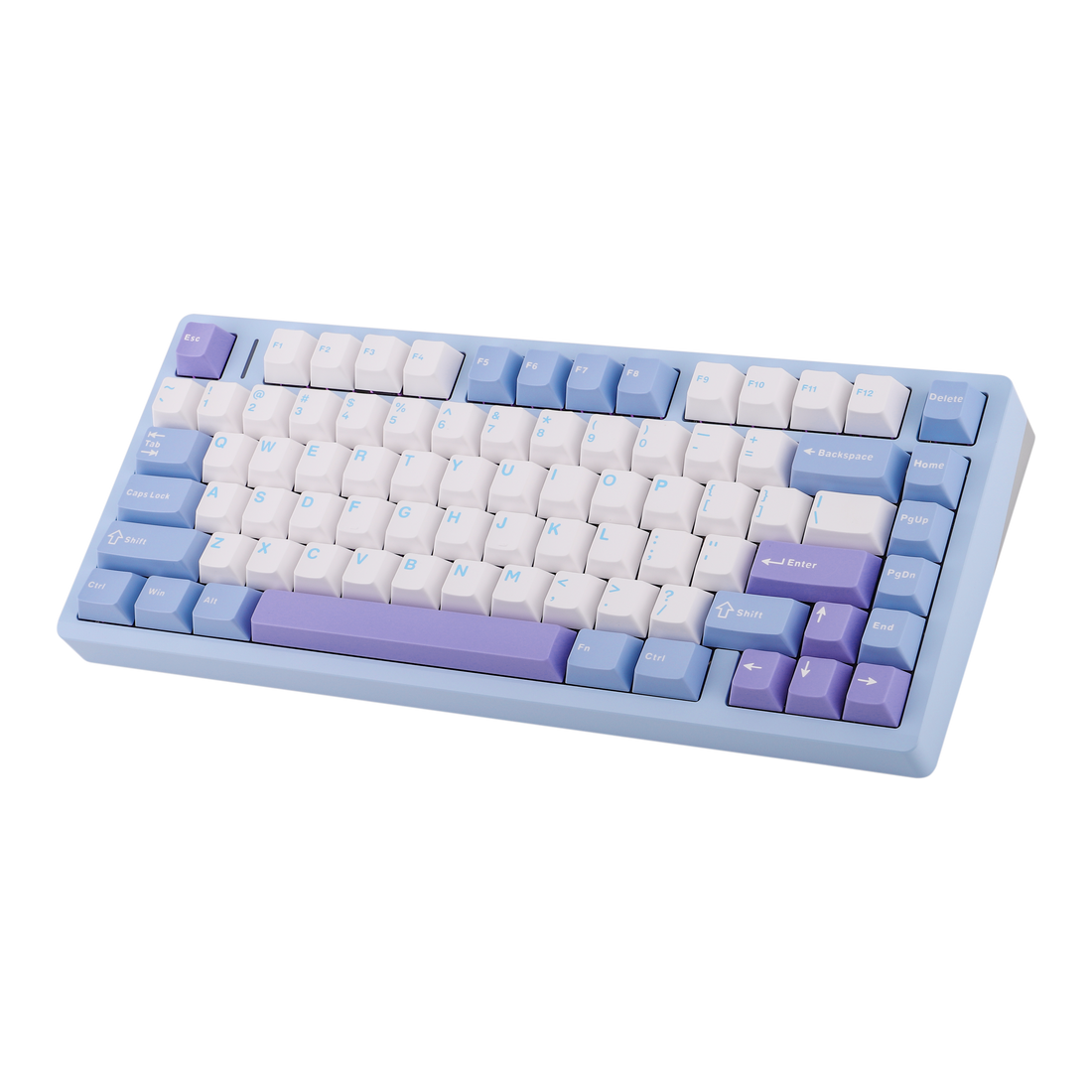 Aula M75 (Light Mist Blue - Flame Purple Switch)