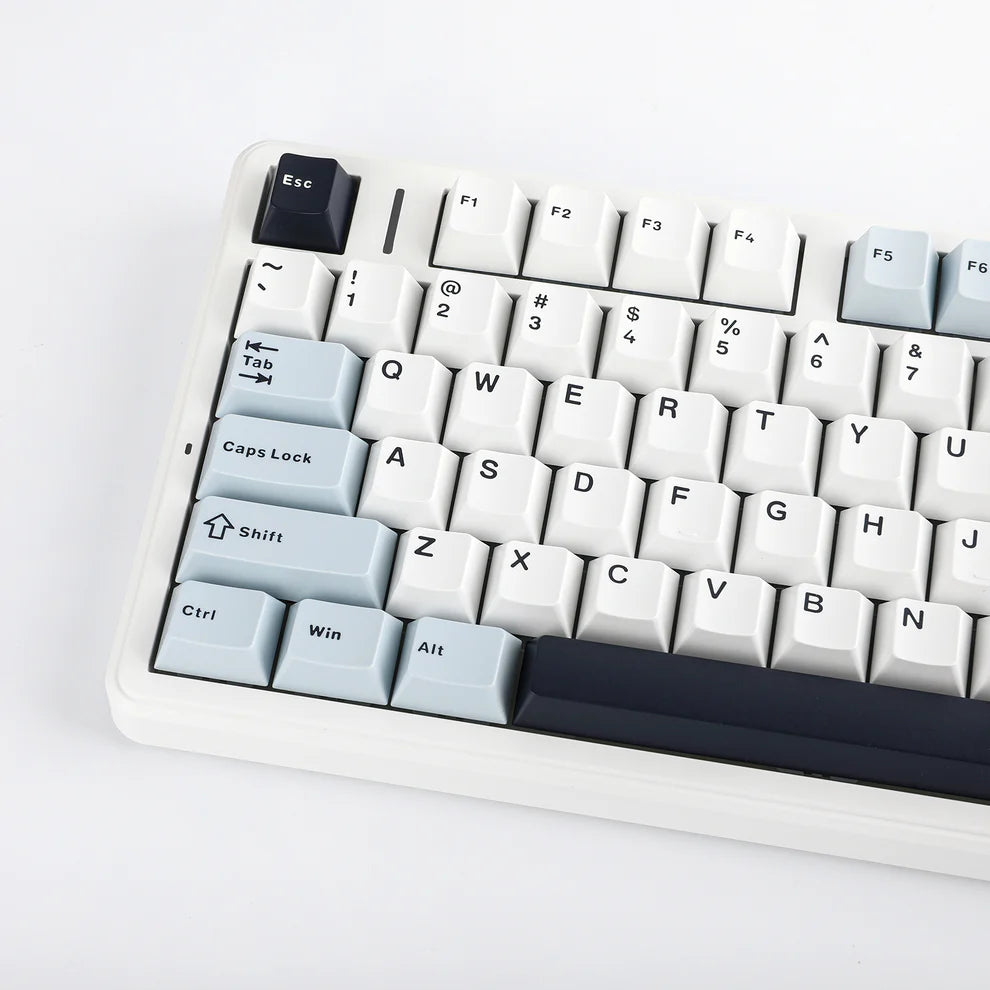 Aula F99 Pro (Blue White Black - Star Vector Switch)
