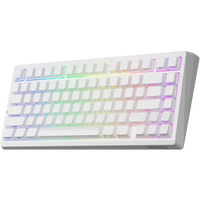 Leobog A80RT (White - White Jade Switch)