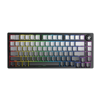 Leobog Hi75C Pro (Gradient Grey - Reaper Switch)