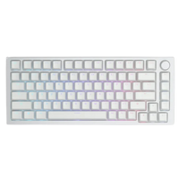 Glorious GMMK ABS Doubleshot V2 Keycaps (White)