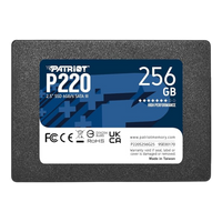 Patriot P220 256GB