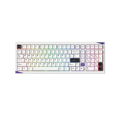 Akko GEM 02 VIA (Black on White - Stellar Rose Switch)