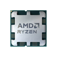 AMD Ryzen 5 7500X3D (Tray)