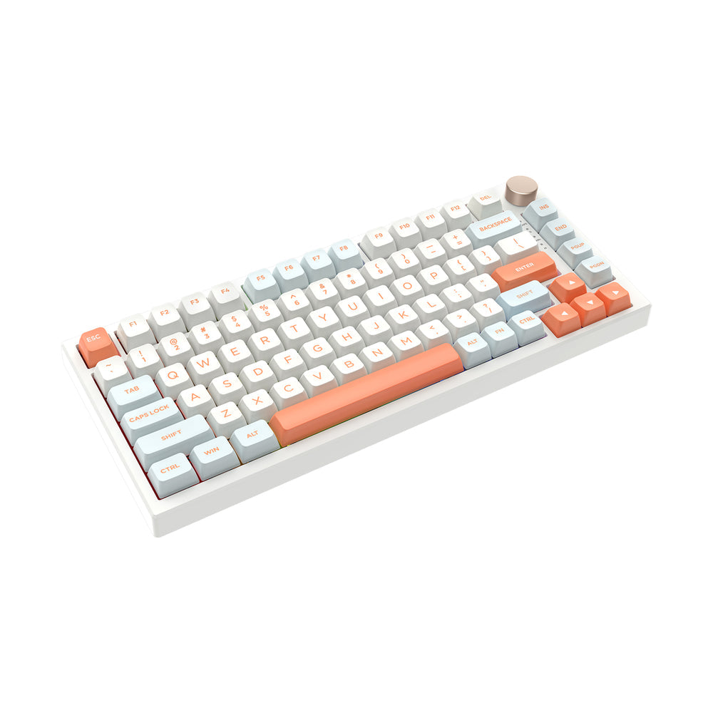 VGN N75 Pro (Orange)