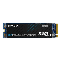 PNY CS1031 256GB NVME SSD