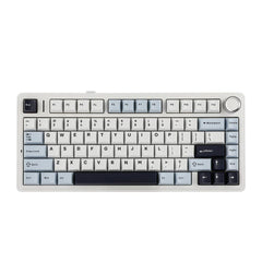 Aula F75 (White Blue - Reaper Switch)