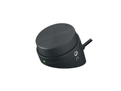 Logitech Z333